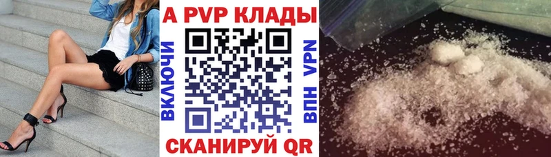 дарк нет как зайти Кольчугино Альфа ПВП СК