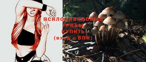 кристаллы Арсеньев